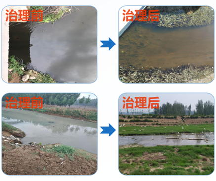 图片8.png 图片8.png